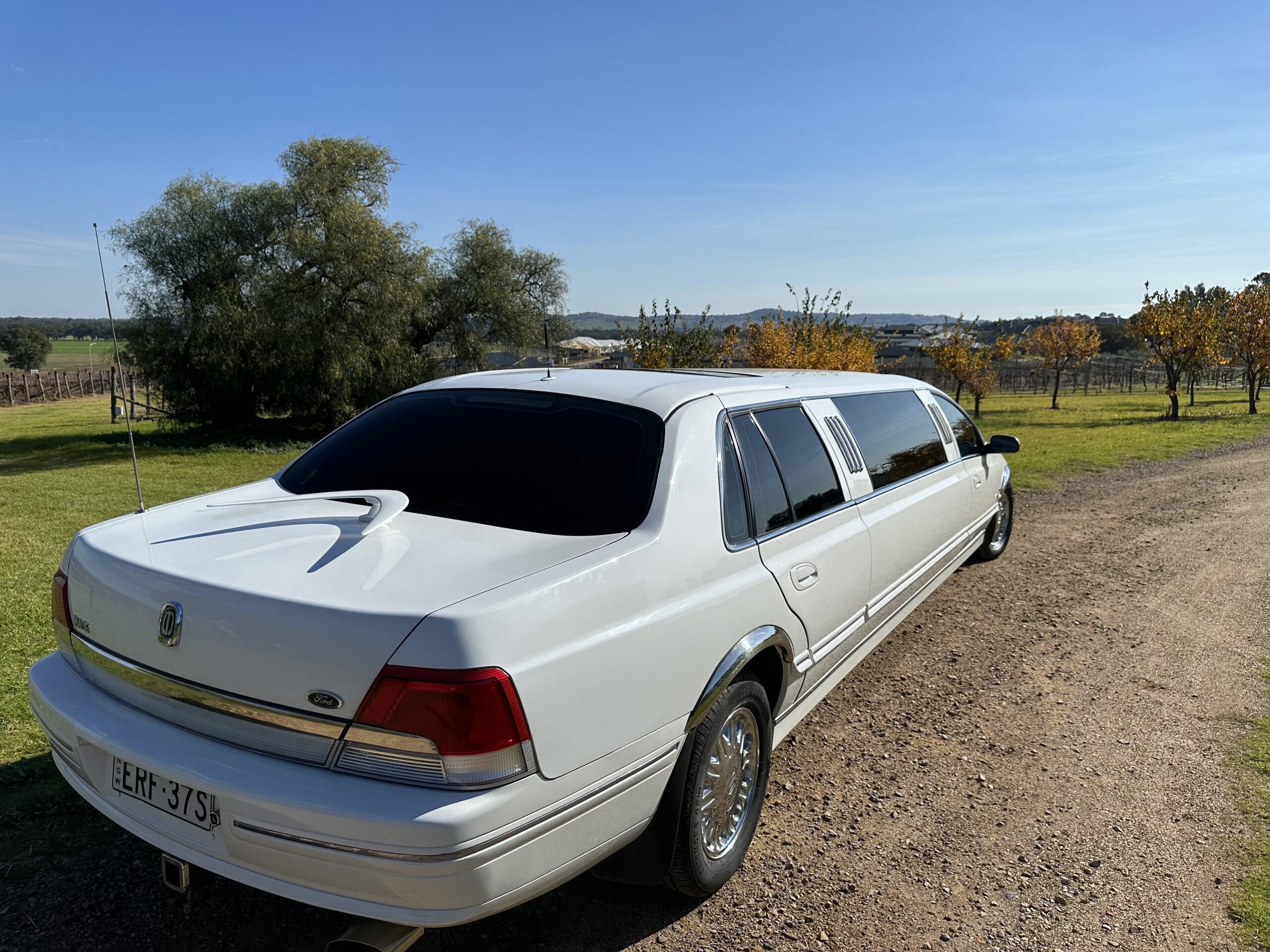 White limousines from rear