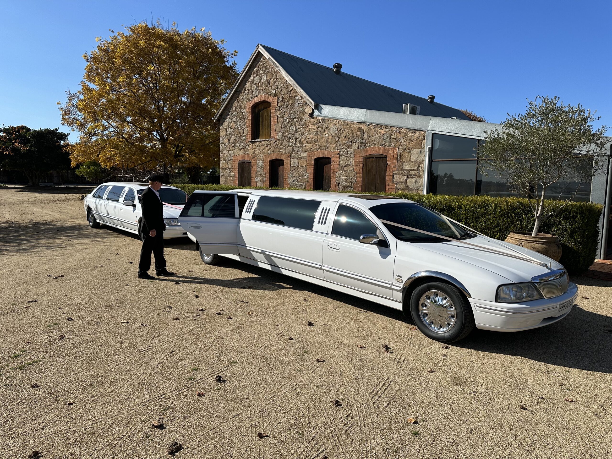 White limousines with driver